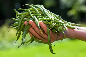 Rolgordijnen String beans © Photographee.eu