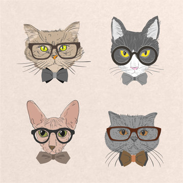 Collection of hipster cats