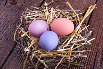 painted eggs in the nest for the celebration of Easter