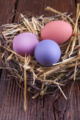painted eggs in the nest for the celebration of Easter
