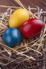 painted eggs in the nest for the celebration of Easter
