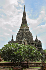Fototapeta premium Thailand - Ayutthaya historical park
