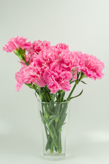 Obraz premium Pink flowers