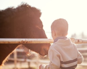 Child stroking pony, love and affection