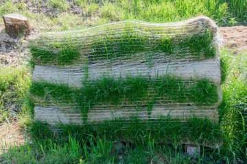 Tappeto erboso in rotoli su pallet