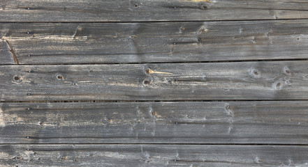 Drewno © Zbyszek Nowak