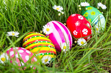 Easter Eggs with flower on Fresh Green Grass