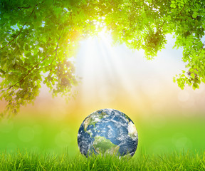 Earth on Fresh spring green grass with green leaf (Elements of t
