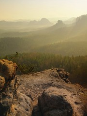 Waiting for the daybreak in Saxony Switzerland park. 