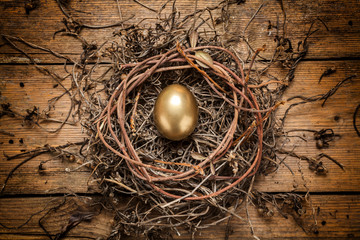 Golden egg in the nest
