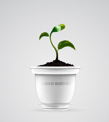 green sprout, flower, porcelain pot