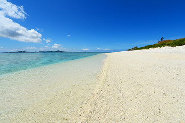 Fototapeta na wymiar Na pięknym południowym Pełna Pełna Koral Okinawa lato morze ? pusty