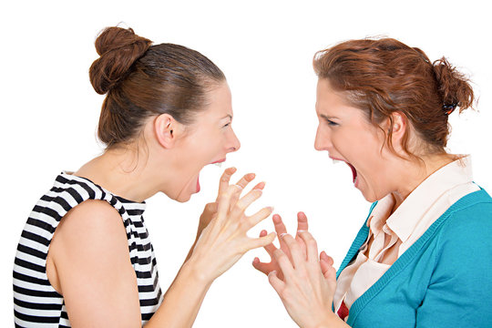 Yelling, screaming, arguing business women