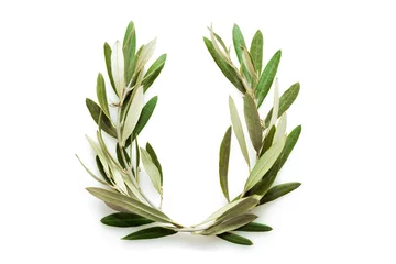 Printed kitchen splashbacks Olive tree Olive tree wreath