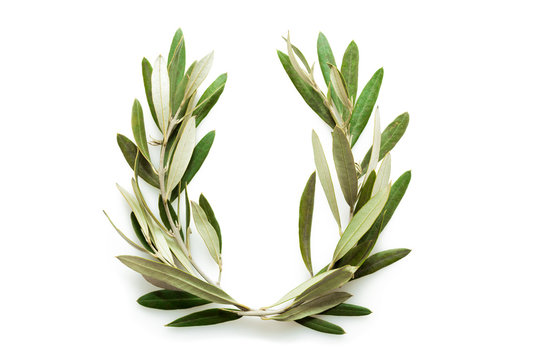 Fototapeta Olive tree wreath