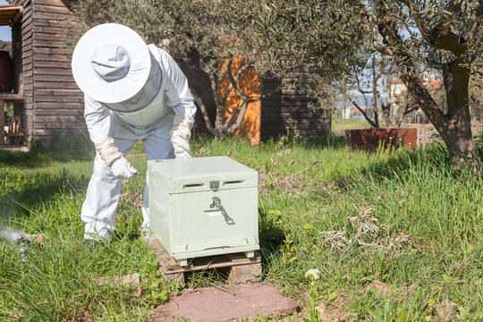 Beekeeper working in his apiary