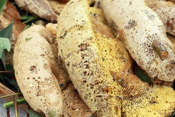 fresh honey in the comb