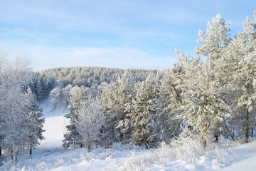 Beautiful winter landscape