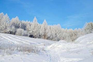 Beautiful winter landscape