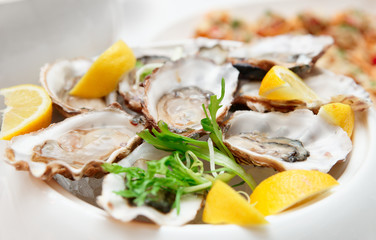 Fresh opened oysters