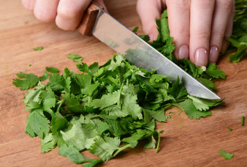 Chopped cilantro on wooden board close-up