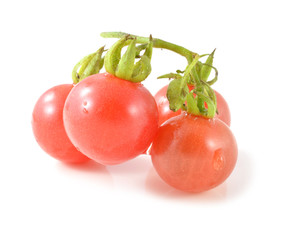 tomatoes isolate on white background