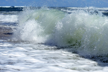 Obraz premium Ocean Wave