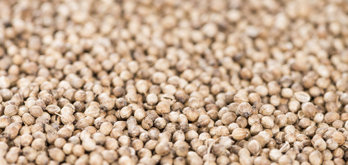 Fototapeta premium Coriander Seeds (background image)
