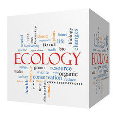 Ecology 3D cube Word Cloud Concept