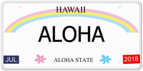 Aloha Hawaii License Plate - 63690609