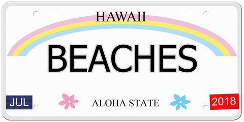 Beaches Hawaii License Plate