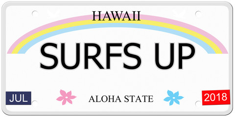 Surfs Up Hawaii License Plate