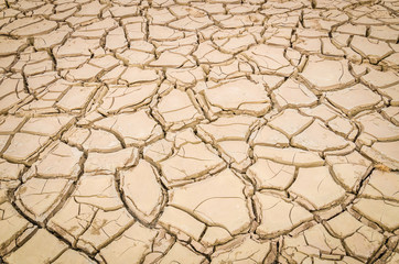 cracked soil