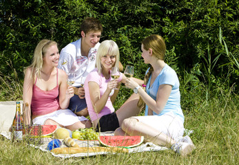 Fototapeta premium friends at a picnic