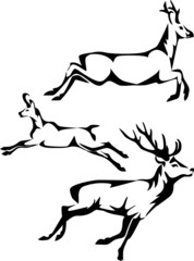 running deer