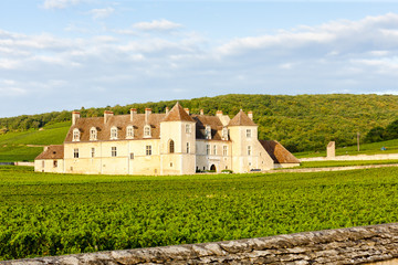 Clos Blanc De Vougeot Castle, Burgundy, France