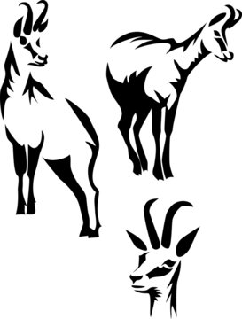 stylized chamois