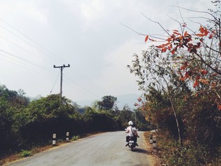 landscape in Laos