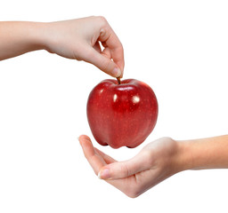 Hand holding red apple isolated on white