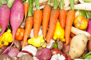 Spices and Root crop