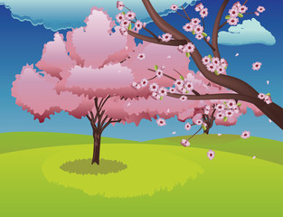 Sakura on Grass Field