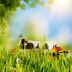 Abstract natural backgrounds with green grass, mushrooms, etc un