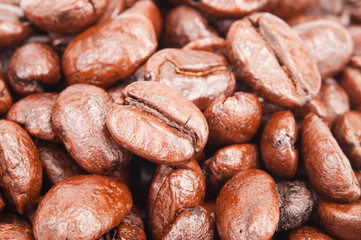 Closeup of coffee beans