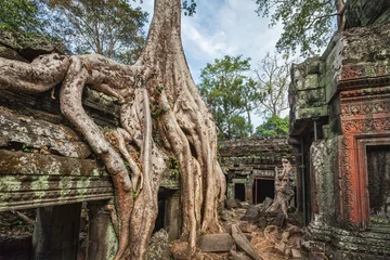 Stickers pour porte Monument Ancient ruins and tree roots, Ta Prohm temple, Angkor, Cambodia
