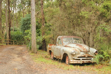 Obraz na płótnie Canvas Vintage car in the woods