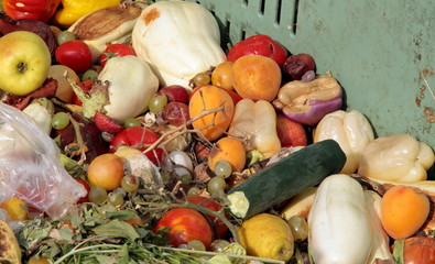 damaged fruits and vegetables to use as fertilizer