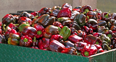 Peppers over the truck ready to be sold by greengrocers