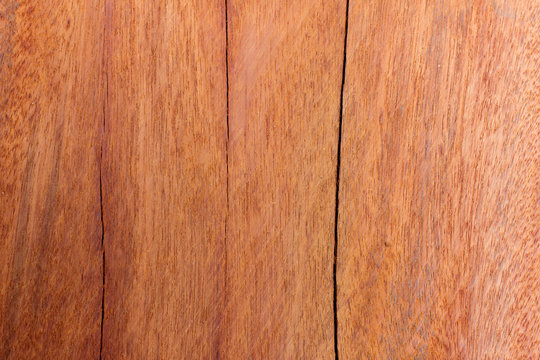 Iron wood background, Xylia xylocarpa Taub var. Kerrii Nielson,