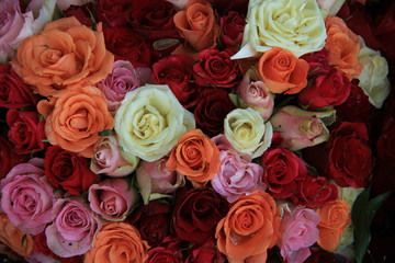 Bridal roses in various colors