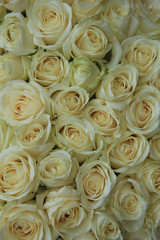 Obraz na płótnie Canvas White roses in bridal bouquet
